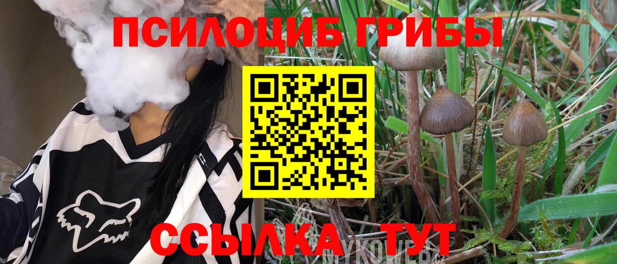 Галлюциногенные грибы Psilocybe  Вход с VPN  Белогорск 