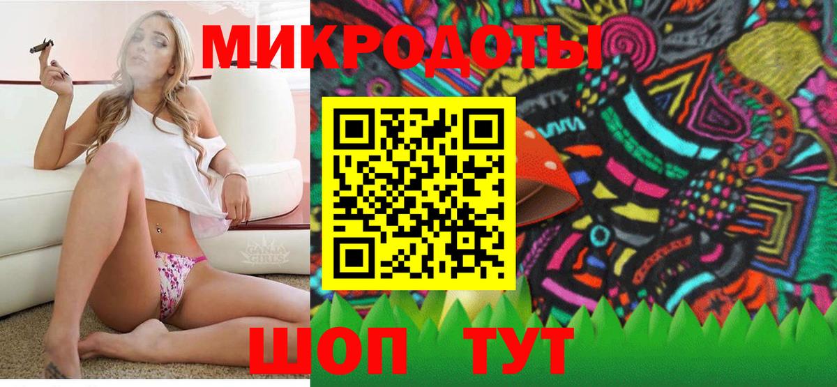 Псилоцибиновые грибы Cubensis Белогорск
